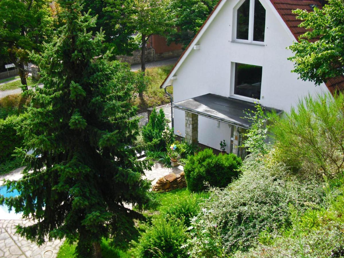 Apartments Zum Henker 奎德林堡 外观 照片